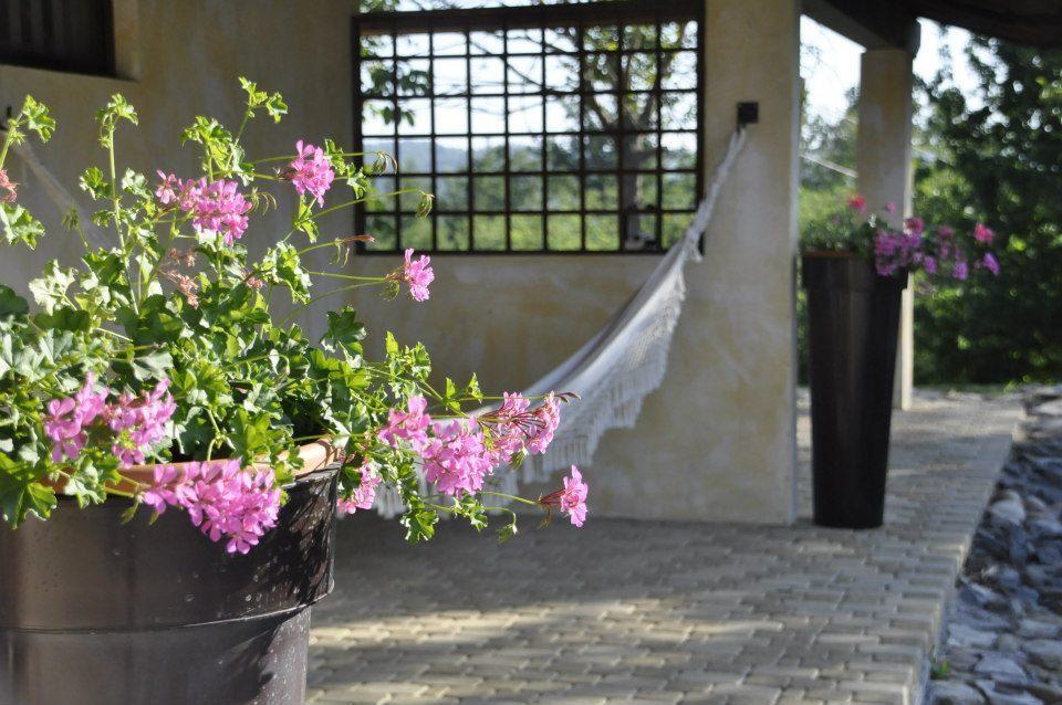 Premiata Osteria Dei Fiori Bed & Breakfast Cortiglione Oda fotoğraf