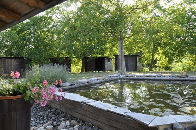 Premiata Osteria Dei Fiori Bed & Breakfast Cortiglione Oda fotoğraf